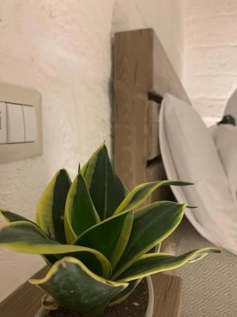 Boutique Room One ファザーノ エクステリア 写真